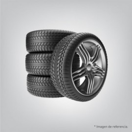 Chaneme Autopartes